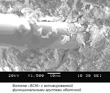 Перспективный метод модифицирования цементных бетонов