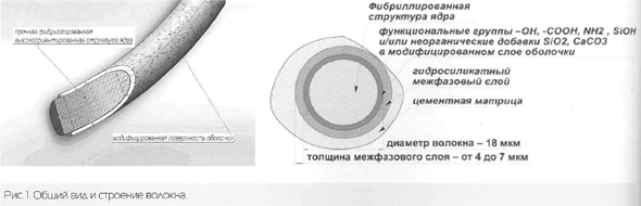 Общий вид и строение волокна